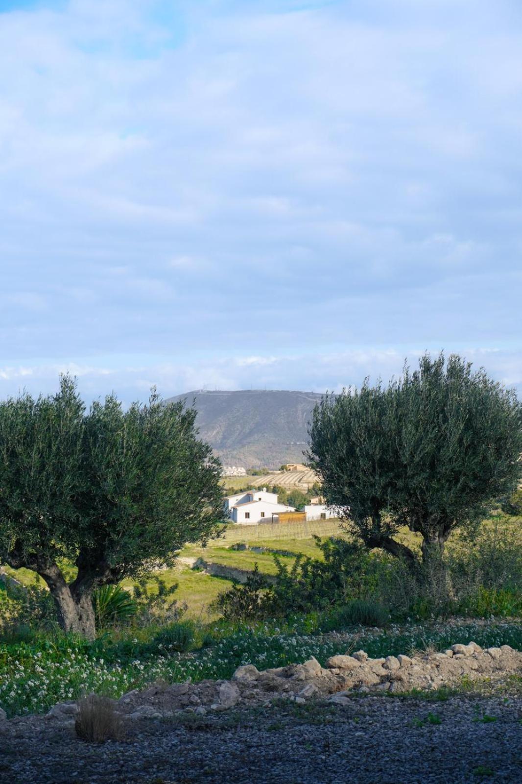 Hotel Finca Olivar Benissa Eksteriør bilde
