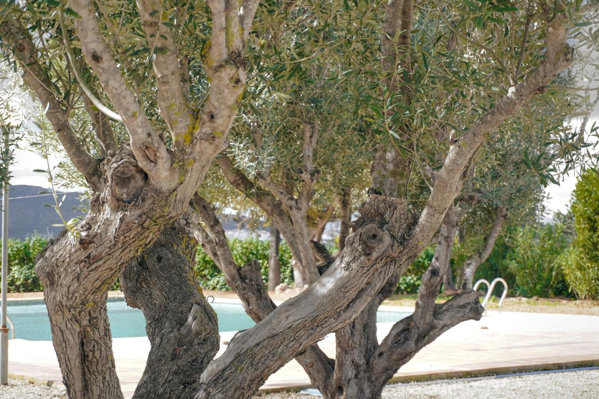 Hotel Finca Olivar Benissa Eksteriør bilde